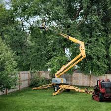 Trusted Lockport Heights, LA  Tree Services Experts